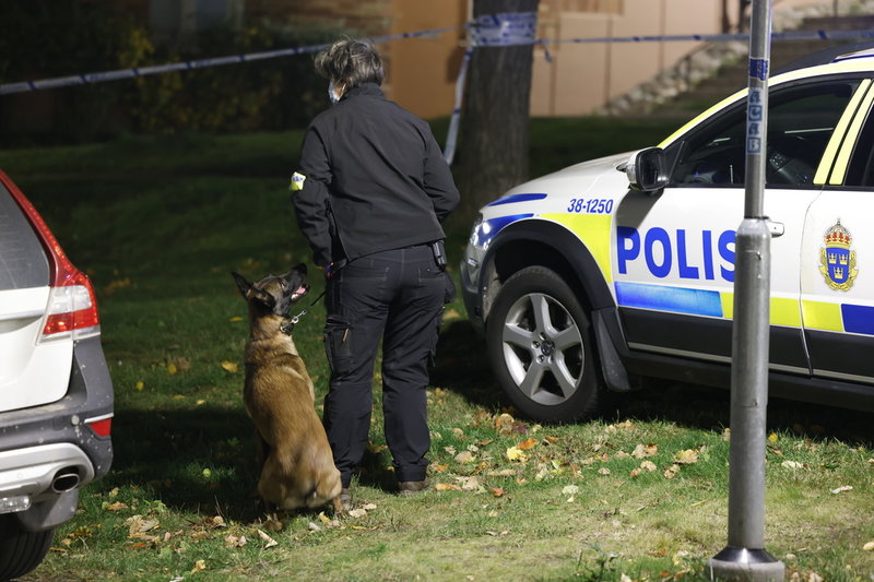 Hundpatruller har varit med i sökandet efter gärningsmännen.