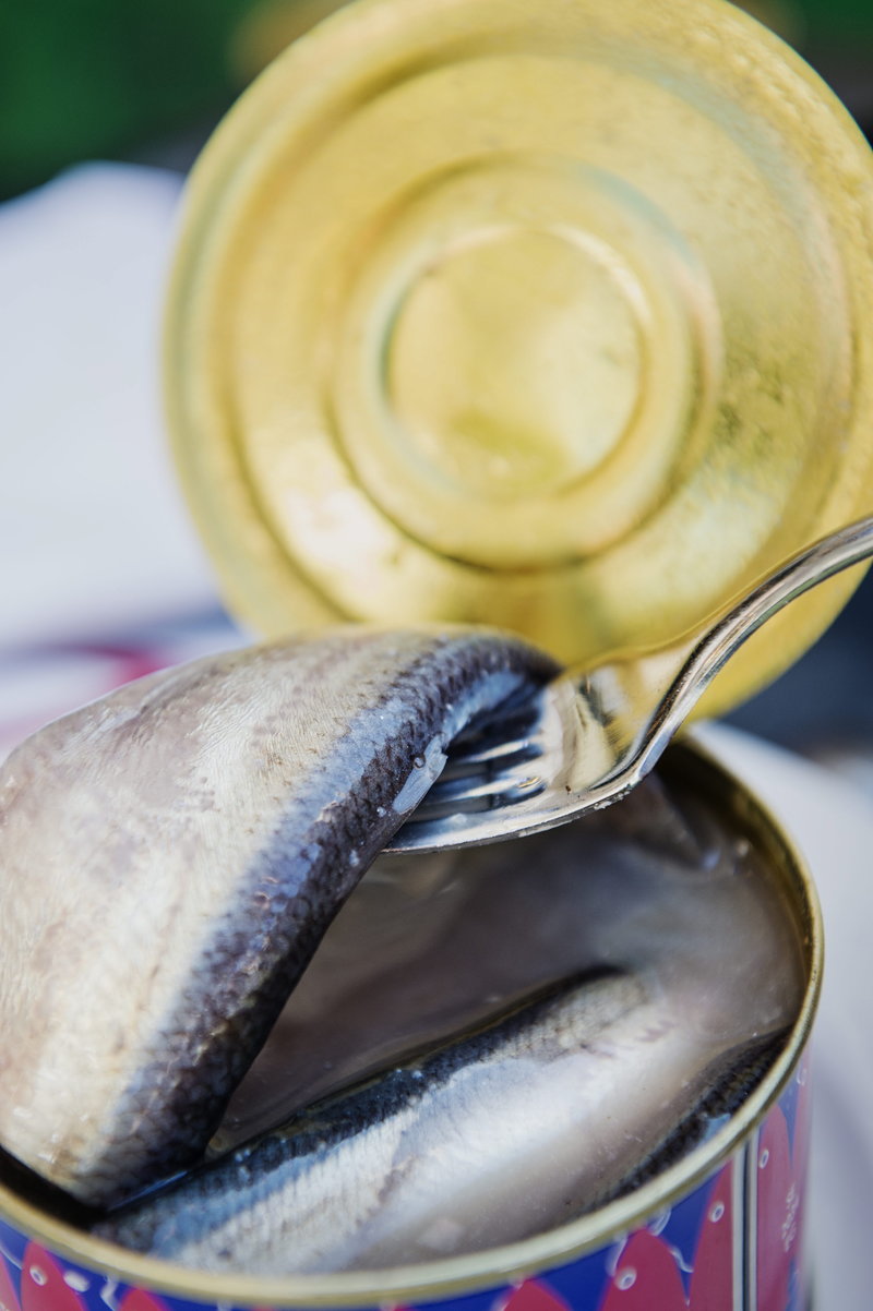 Surströmming i burk. Surströmming i burk.