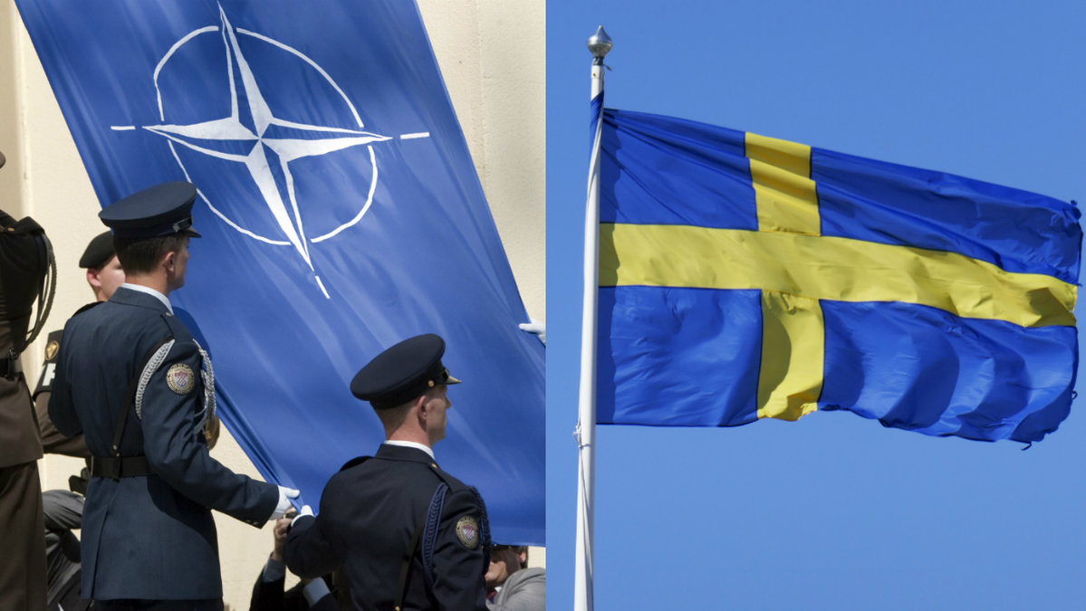 "Sverige behöver en färdplan mot Nato".