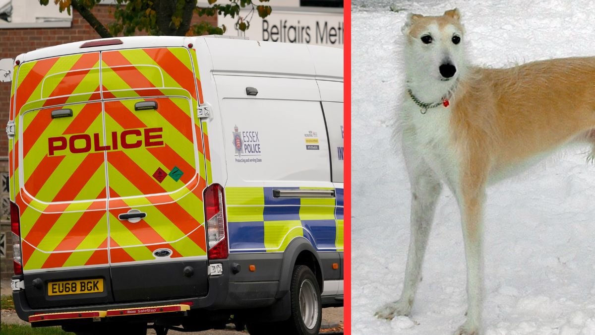 Flicka ihjälbiten av familjens hund – hittades av pappan