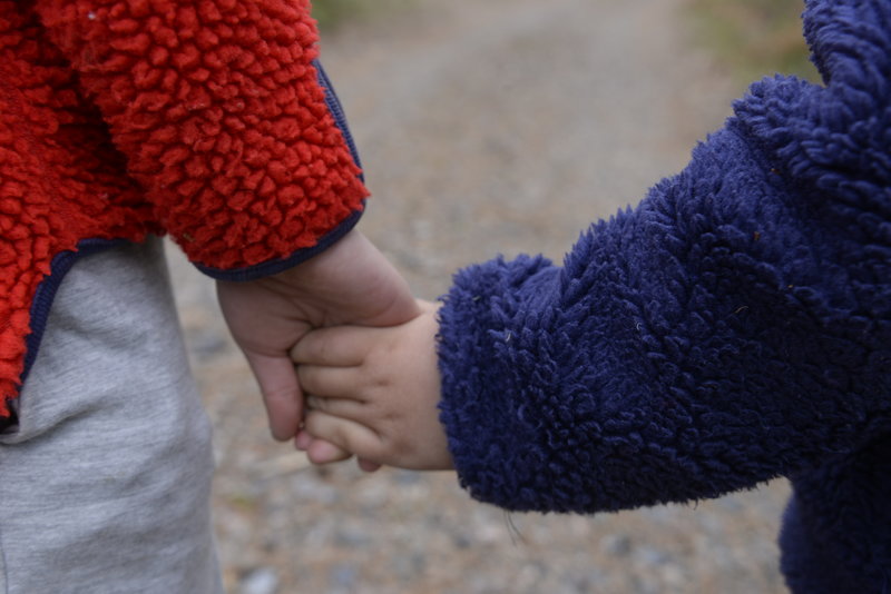 Foto: Tove Eriksson/TT