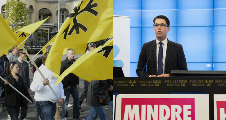 Felix König, Nazism, Debatt, Supervalåret 2014, Sverige, Rasism, Riksdagsvalet 2014, LSU
