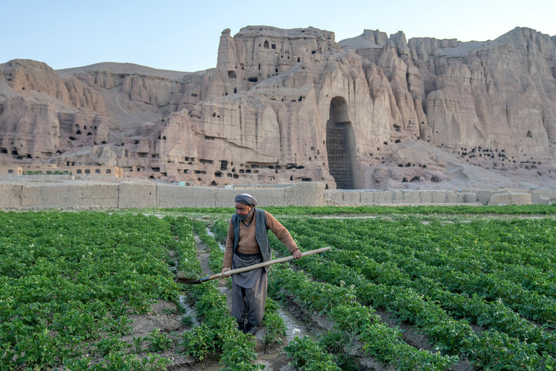 En man arbetar på fälten framför platsen där de kolossala Buddhastatyerna stod i Bamiyan väster om Kabul. Det av talibanerna 2001 sprängda kulturarvet var tidigare ett av landets främsta turistmål. Bild tagen 2023.