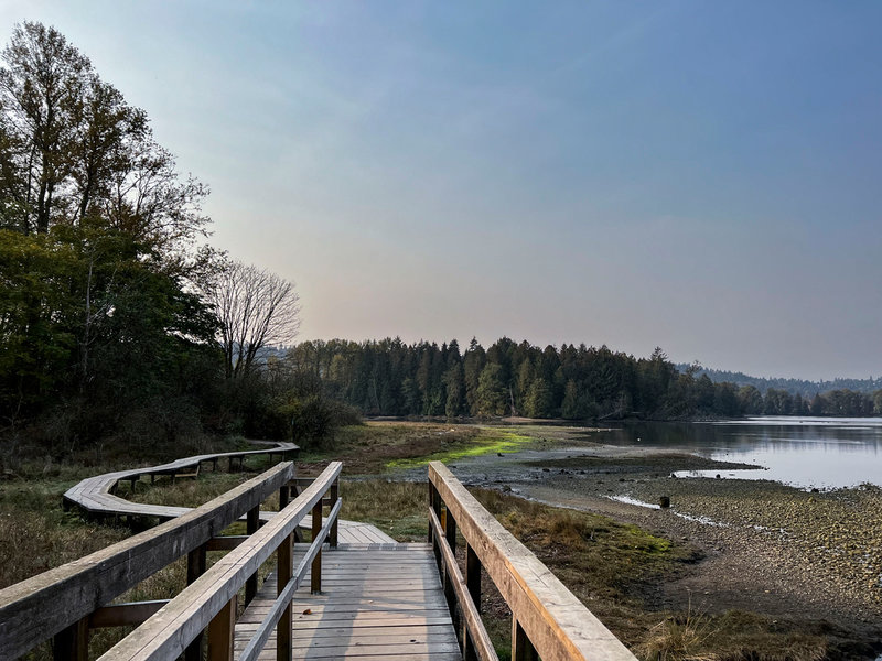 En vandringsled löper längs den torrlagda strandlinjen vid sjön i Port Moody.