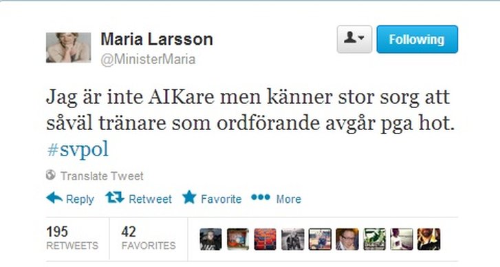 Maria Larsson, Minister, Twitter, AIK, Dif