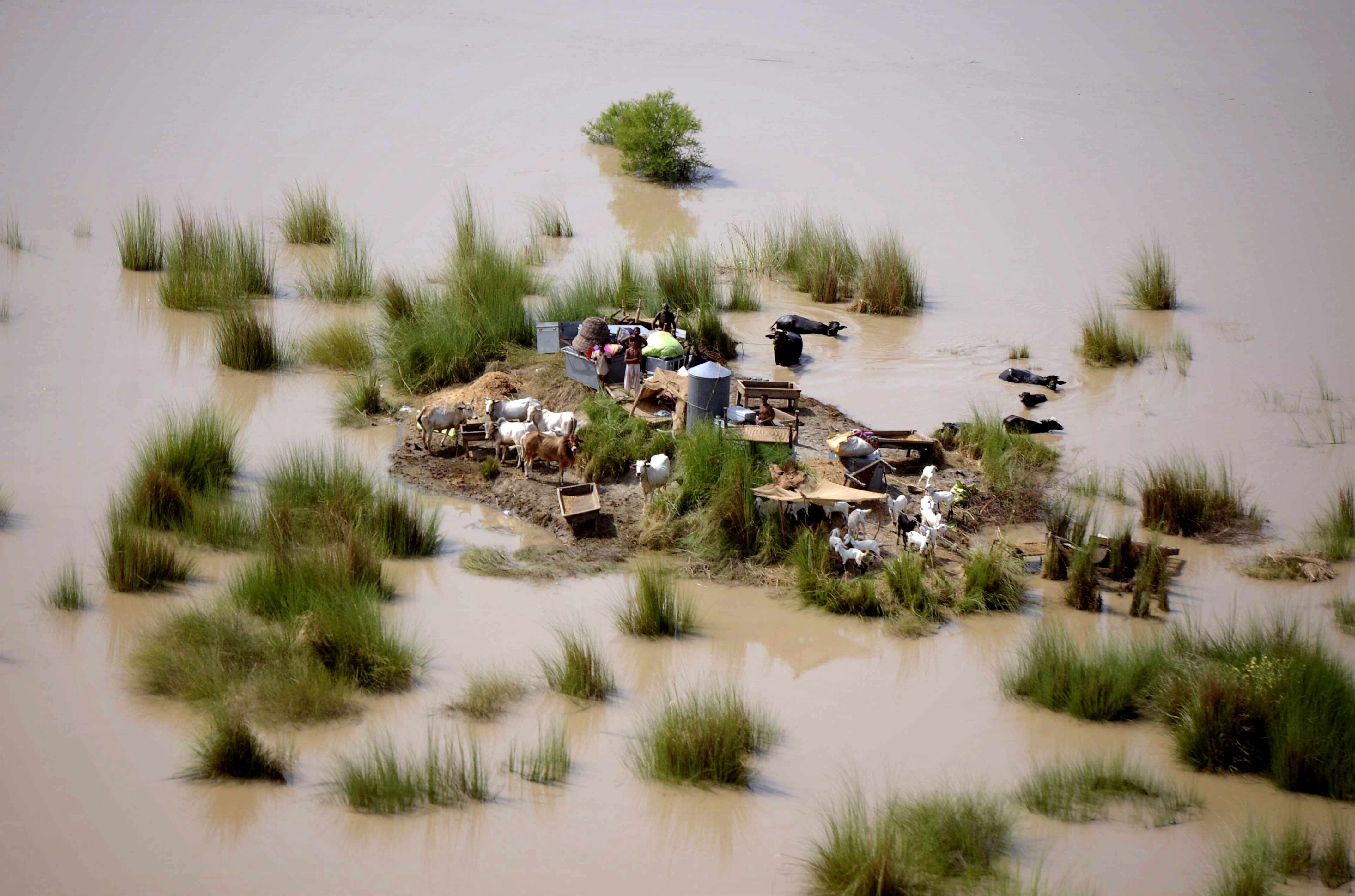Hemlös, Monsun, Översvämning, Brott och straff, regn, Pakistan