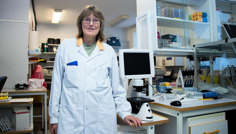 Heléne Norder är adjungerad professor i mikrobiologi på Sahlgrenska akademin vid Göteborgs universitet och mikrobiolog på Sahlgrenska universitetssjukhuset. Arkivbild.