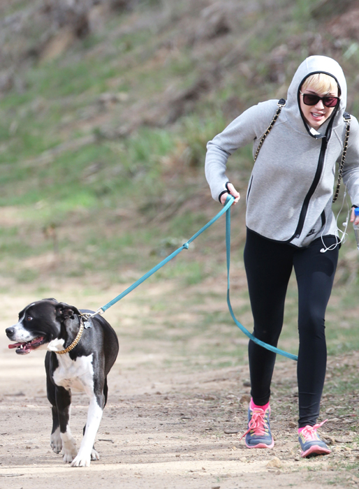 Miley rastar hunden. Miley rastar hunden.