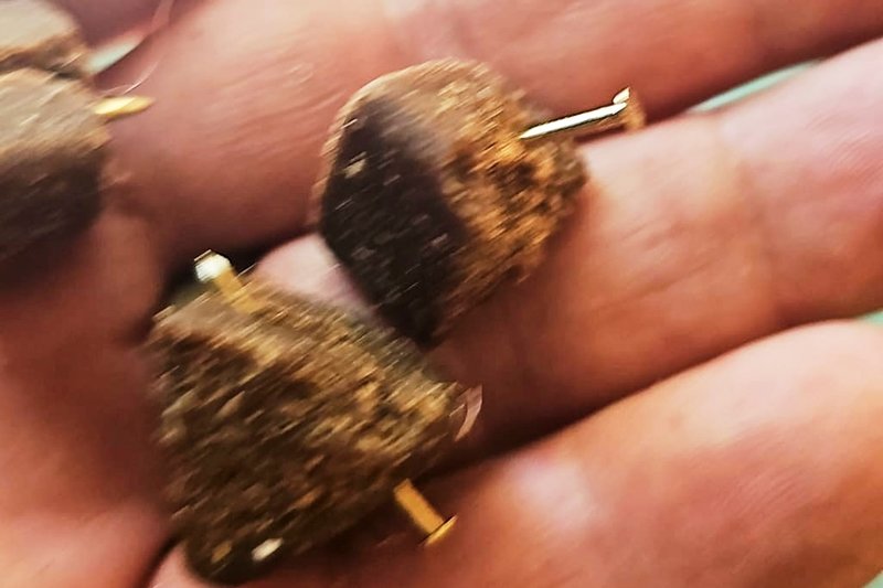 Maten med spikarna som spårhunden ska ha ätit och som sedan resulterade i hans död.