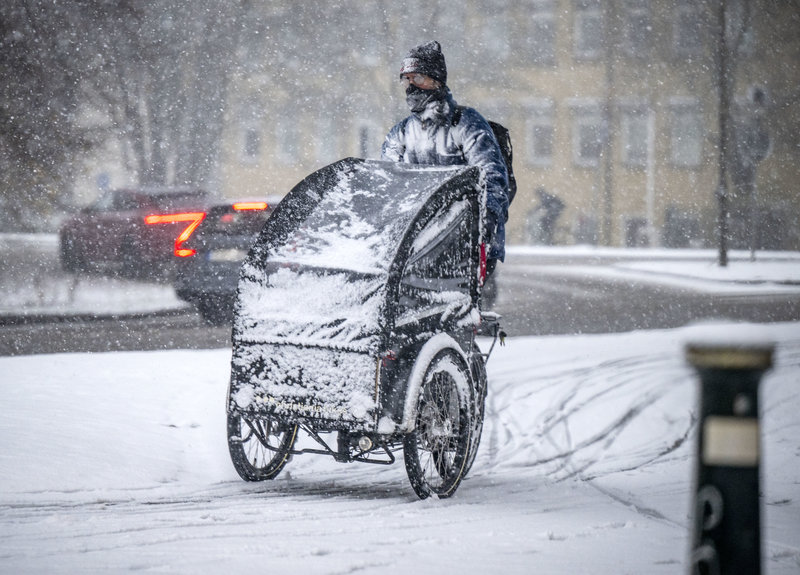 Snö i Malmö tidigare i år. Foto: Johan Nilsson / TT