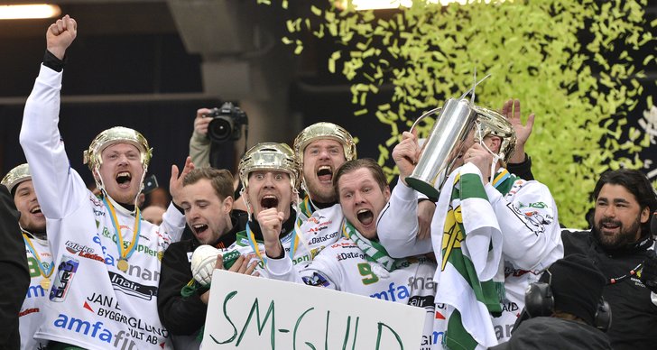 Hammarby IF, SM, Final, Bandy, Sandviken