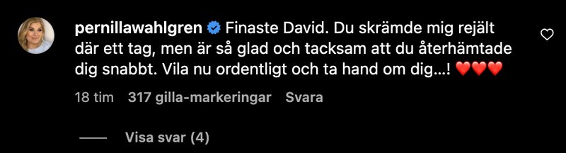 Pernilla Wahlgren Pernilla Wahlgren