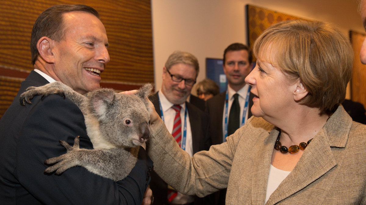 Angela Merkel är lite försiktig. Det är nog klokt det för tro det eller ej men koalor kan gå till blixtsnabb attack.  