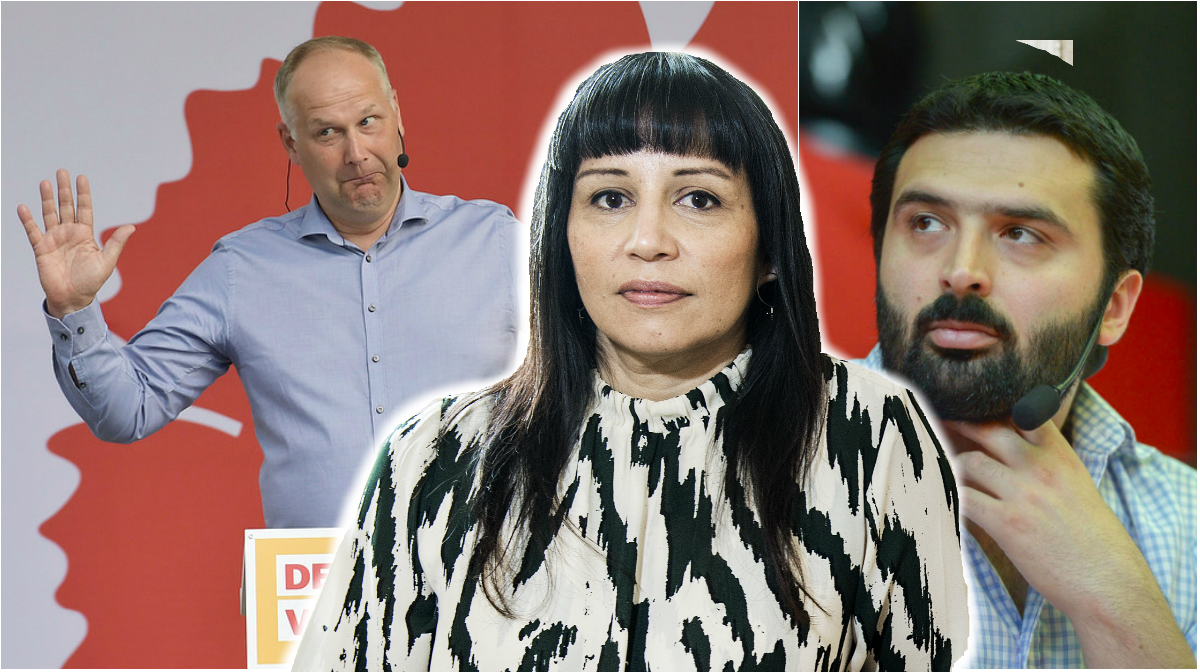 Inkomstlista, Ulla Andersson, vänsterpartiet, Rosanna Dinamarca, Amineh Kakabaveh, Skatt, Ali Esbati, Jonas Sjöstedt