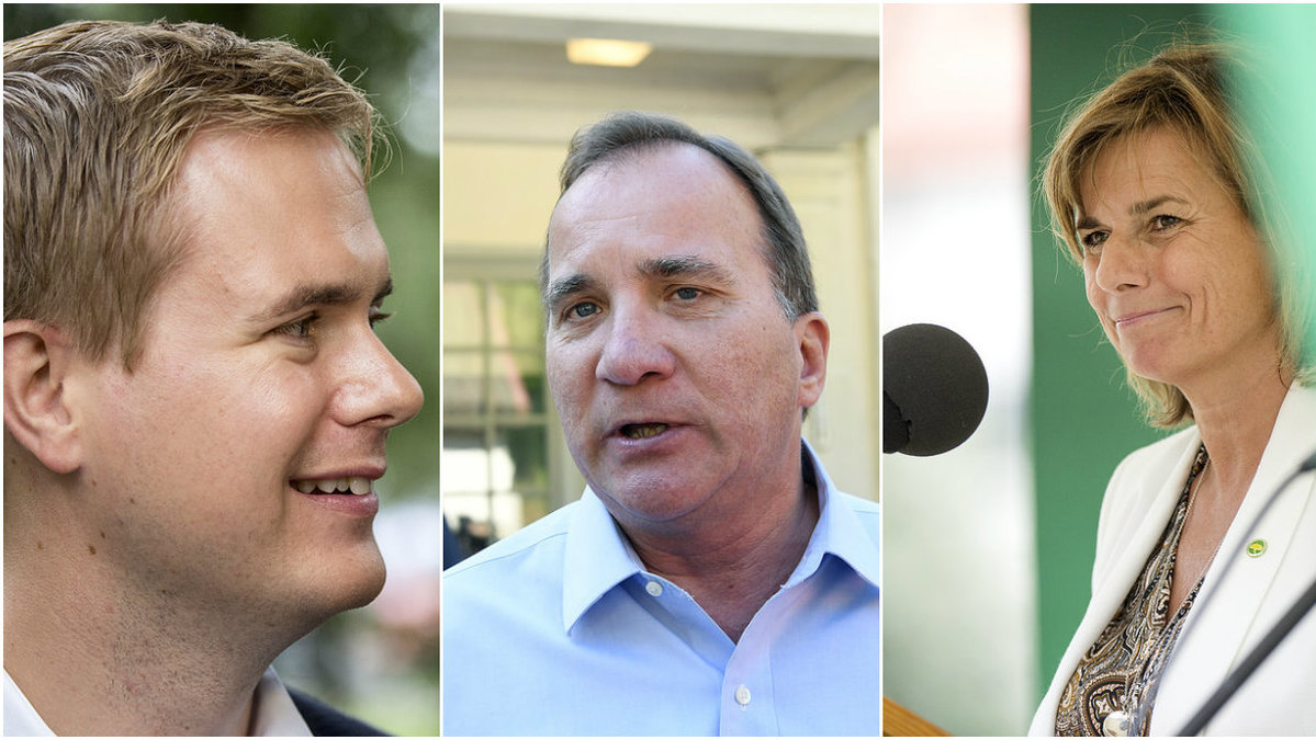 Det verkar bli ett samarbete med Miljöpartiet efter valet 2018 om Stefan Löfven får bestämma. 