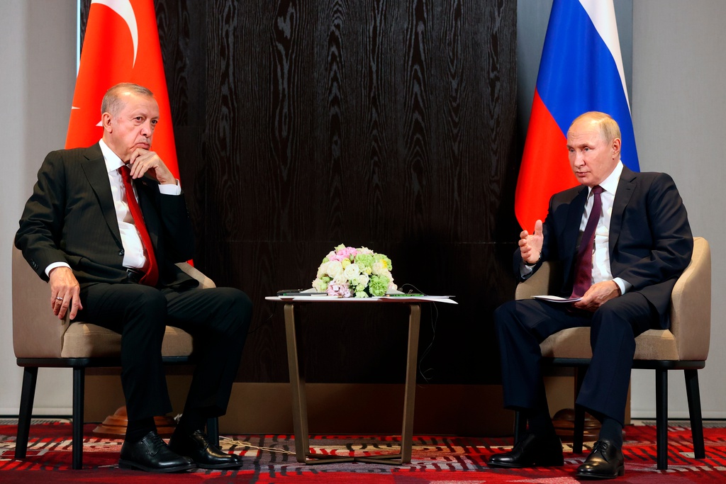 TT, Erdogan, Vladimir Putin