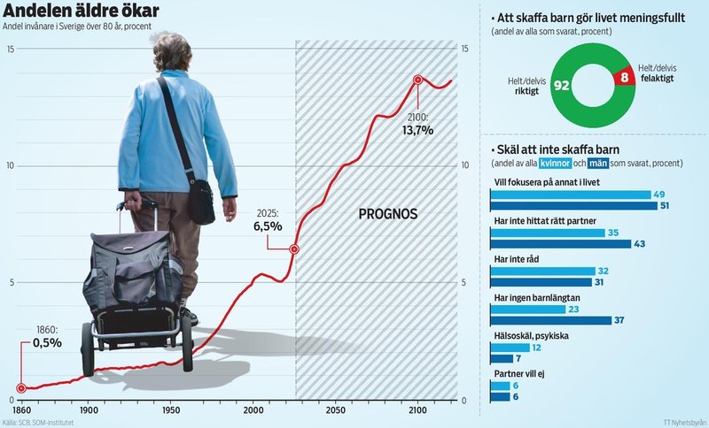 Andelen äldre ökar och regeringen vill att det föds fler barn. Men en hög andel av de som inte har barn vill helt enkelt inte.