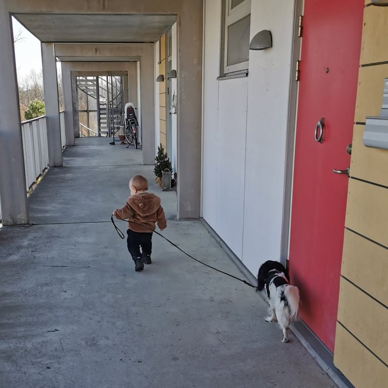 Här i loftgången blev Dio ihjälbiten. Här i loftgången blev Dio ihjälbiten.