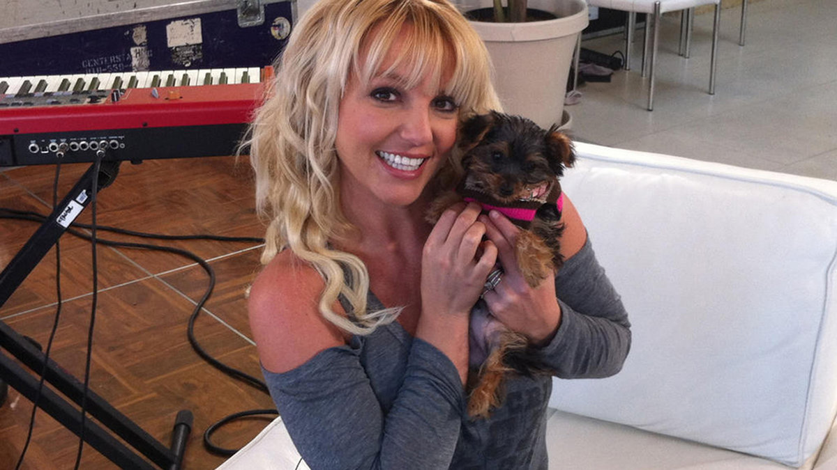 Britney Spearrs har inte bara ett bländande leende – hon har även en gosig hund. 