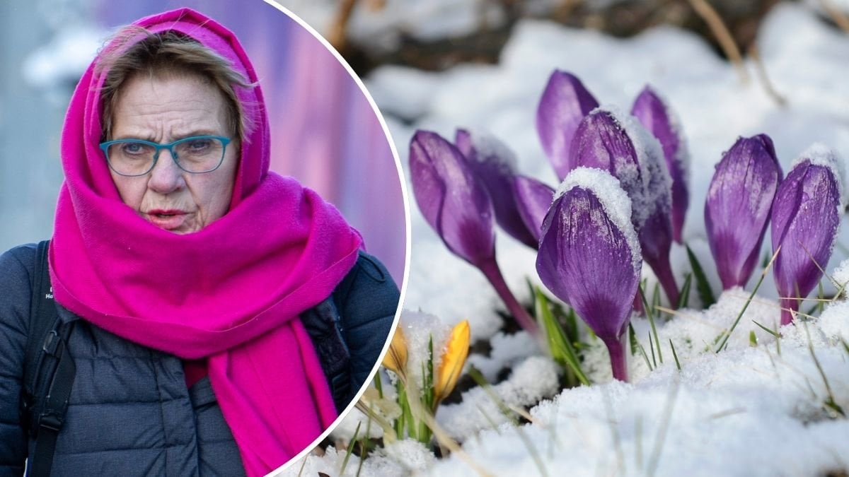 Vinterkylan kommer tillbaka – här blir det snö och stormbyar