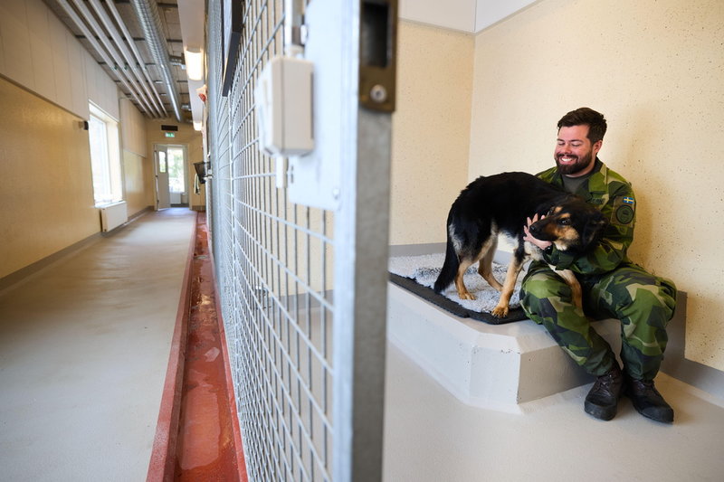 I hundstallet bjuds det inte på några leksaker, där är det återhämtning som gäller.