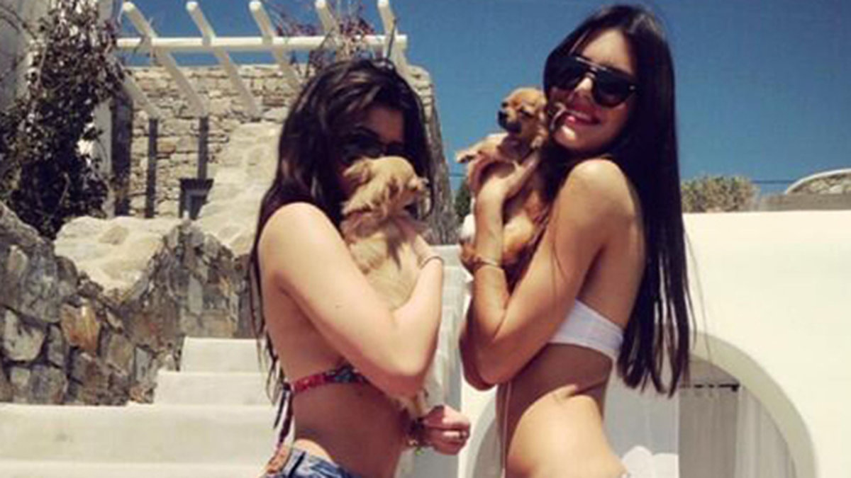Kylie och Kendall gosar med chihuahuas. 