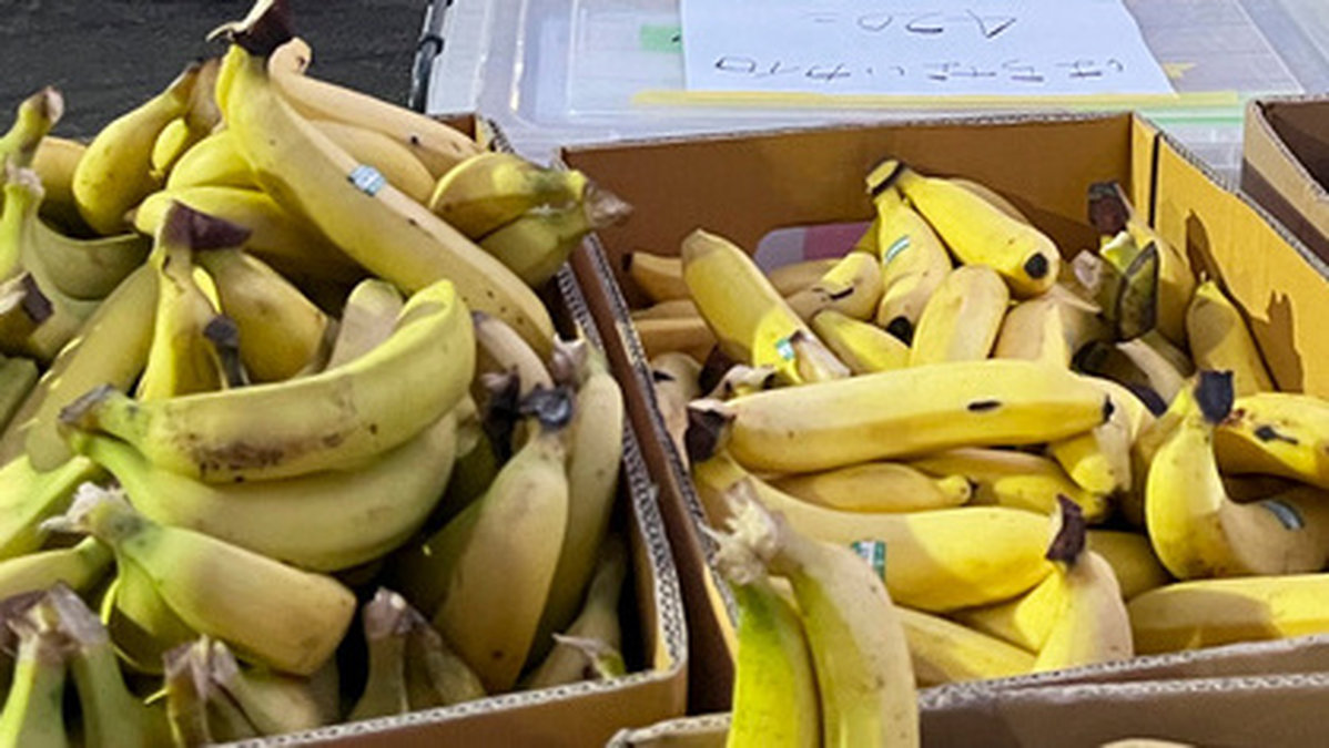 Nästan tre ton kokain hittades i en last bananer. Arkivbild.