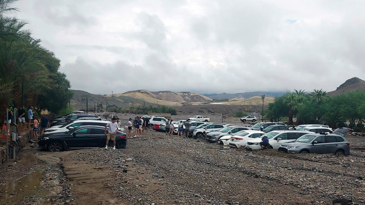 Ett 60-tal fordon i nationalparken Death Valley fastnade efter störtskurarna.