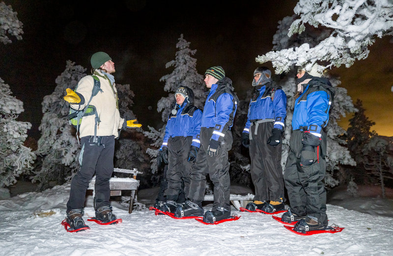 Det är bara när det är mörkt som vi kan se norrsken med blotta ögat.