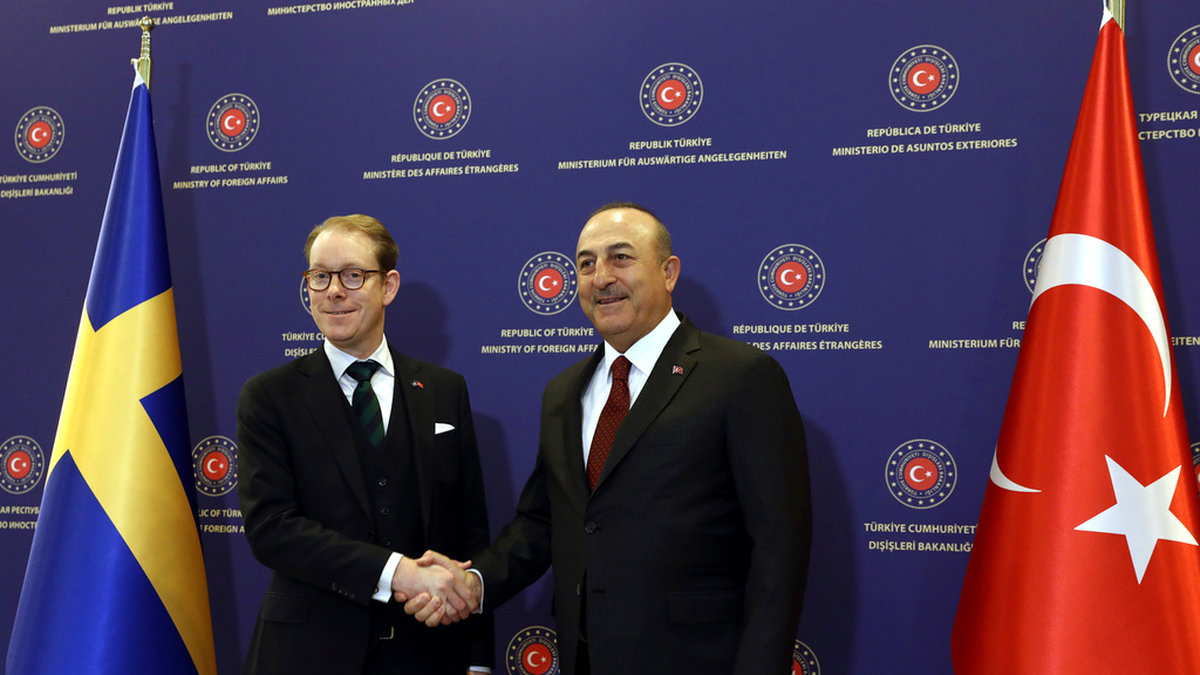 Sveriges utrikesminister Tobias Billström tillsammans med sin turkiske kollega Mevlüt Cavusoglu efter deras möte i Ankara på torsdagen.