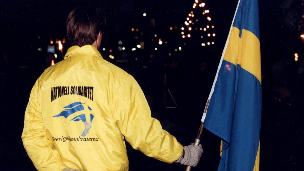 Den 6 februari 1988 bildas Sverigedemokraterna av personer med bakgrund inom nazistiska och högerextrema rörelser som Nordiska Rikspartiet, Bevara Sverige svenskt och Sverigepartiet. 