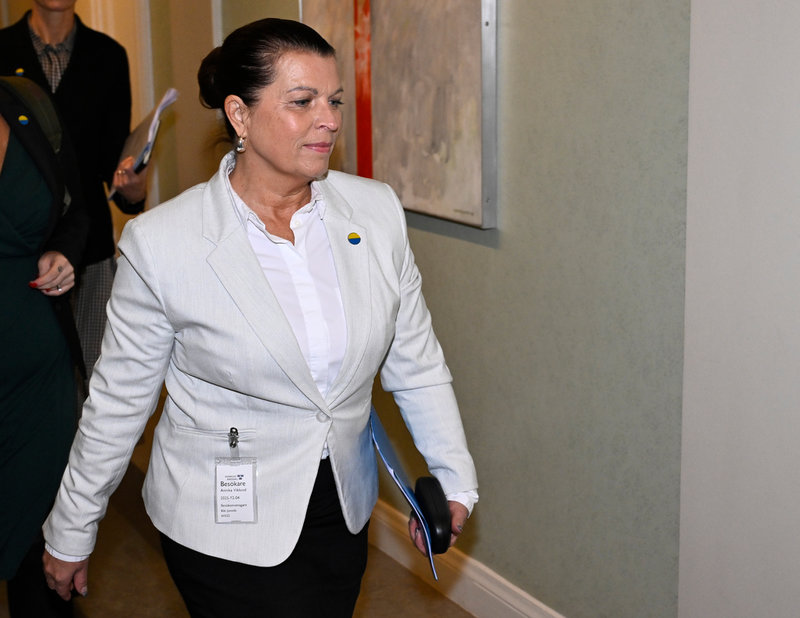 Vattenfall Eldistributions vd Annika Viklund fick häromdagen svara på frågor i näringsutskottet i riksdagen.