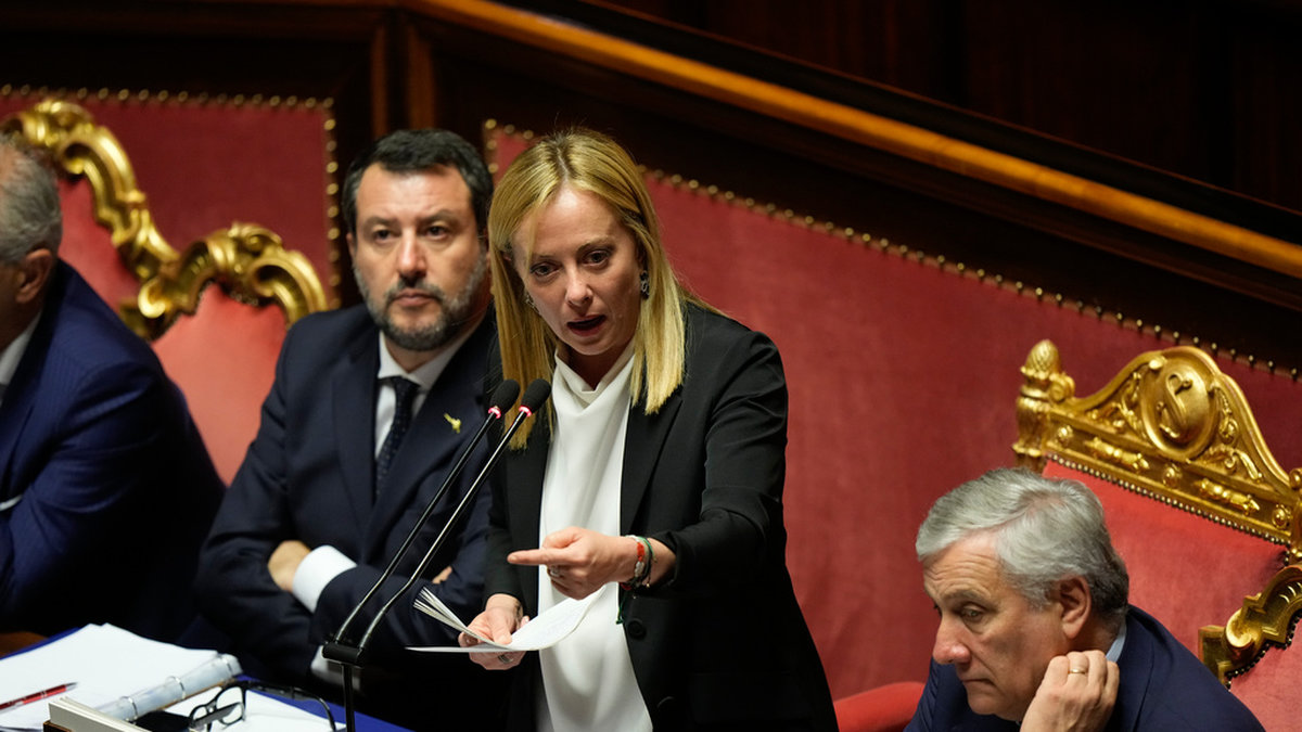 Italiens premiärminister Giorgia Meloni talar i senaten på onsdagen.