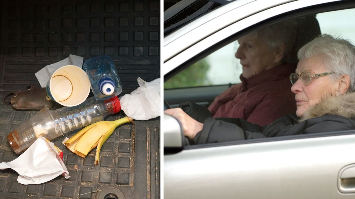 Därför luktar din bil skunk