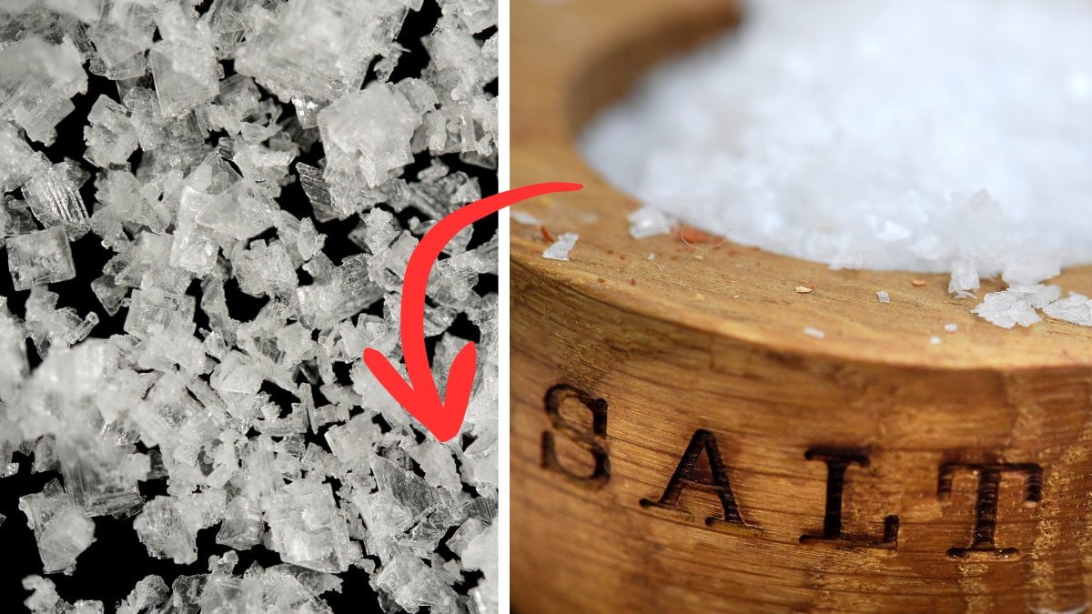 Så här påverkar saltet din kropp – farligare än man trott