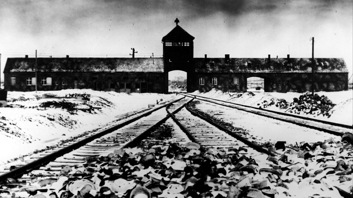 Auschwitz-Birkenau var ett av de största koncentrationslägren under andra världskriget.