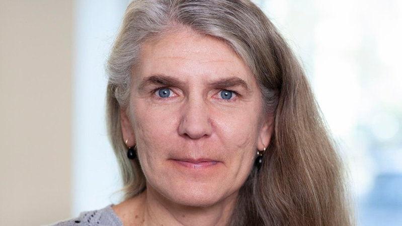 Lena Wängnerud, professor i statsvetenskap vid Göteborgs universitet.