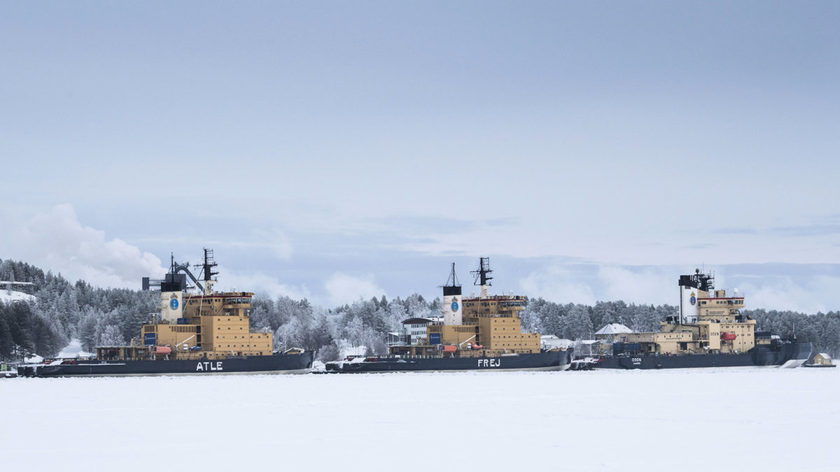 De fem isbrytarna ligger nu vid i Luleå efter avslutad säsong. Ale är fortfarande i beredskap om Finland skulle behöva hjälp. Arkivbild.