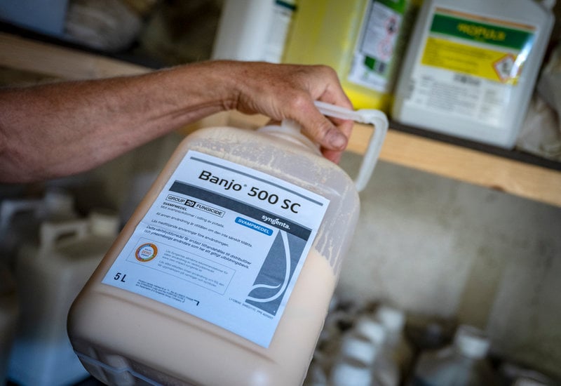 Det här växtskyddsmedlet innehåller PFAS-medlet fluazinam, som nu förbjuds i Danmark med hänvisning till att det bildas TFA (trifluorättiksyra) när det bryts ner. Detta hamnar sedan i grundvattnet.