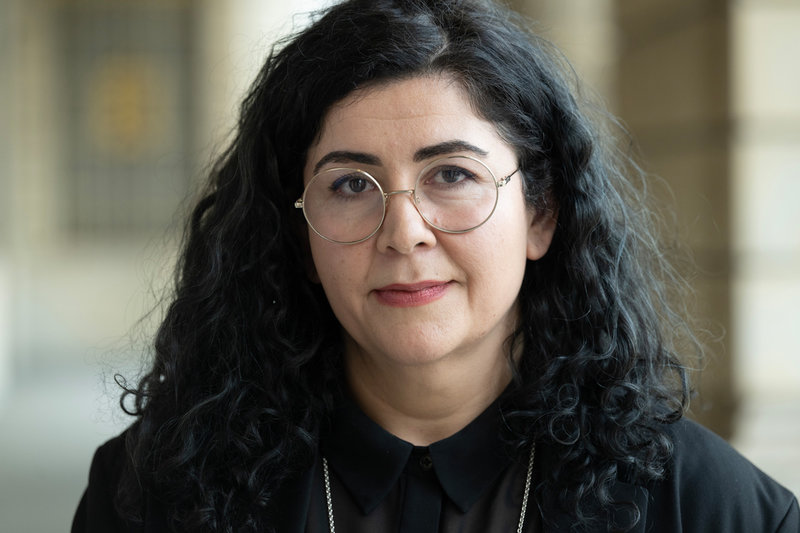 Efter 20 år av uppmärksammade uppsättningar debuterar Farnaz Arbabi som Shakespeare-regissör.