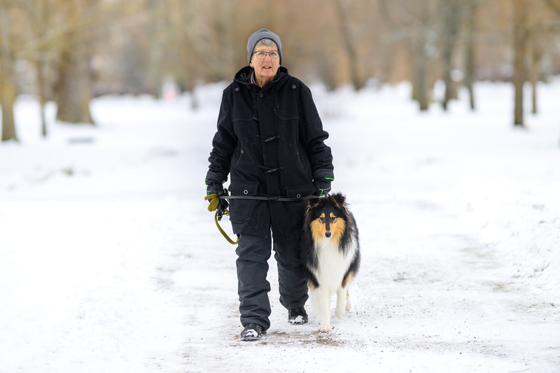 Charlie, som är av rasen långhårig collie, är elva månader gammal.