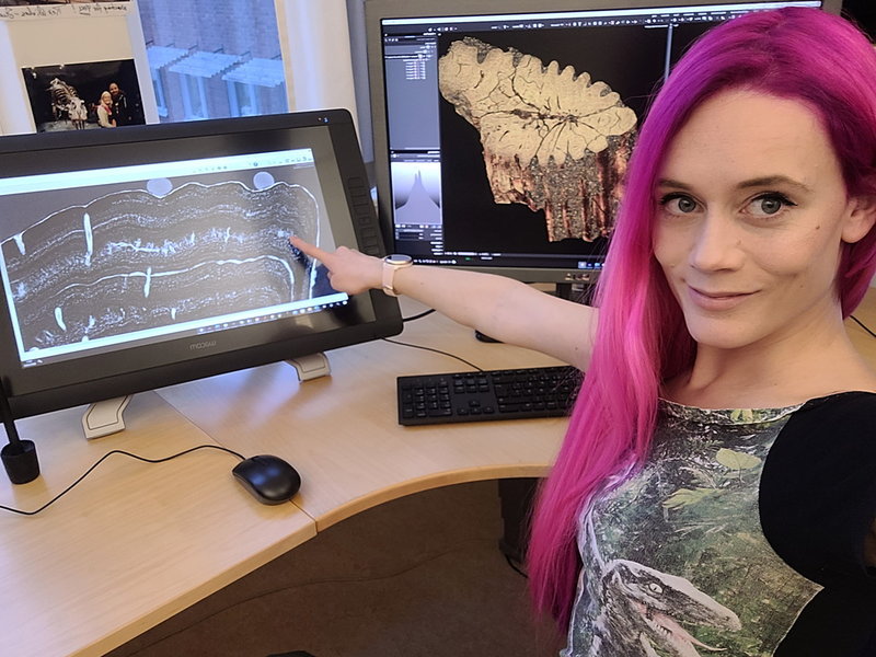 Melanie During visar 'årsringar' i en fiskben som avslöjar när på året den dog.