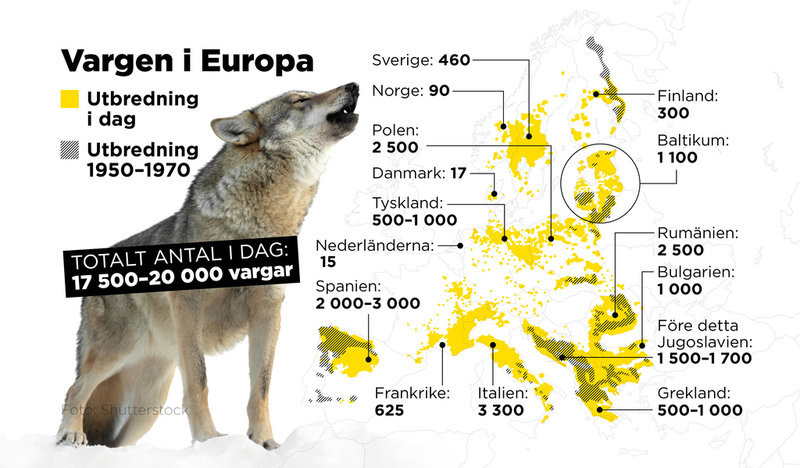 Utbredning i dag jämfört med 1950–1970.